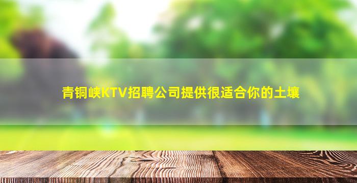 青铜峡KTV招聘公司提供很适合你的土壤